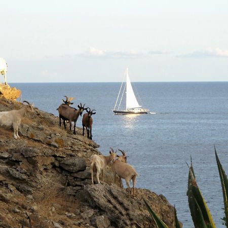 Isola D'Elba Come In Barca, A Un Tuffo Dal Mare Capoliveri  Exteriér fotografie